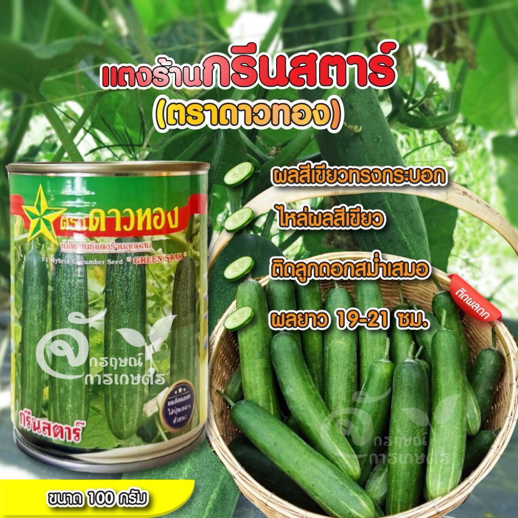 แตงร้านกรีนสตาร์ ตราดาวทอง ขนาด 100 กรัม