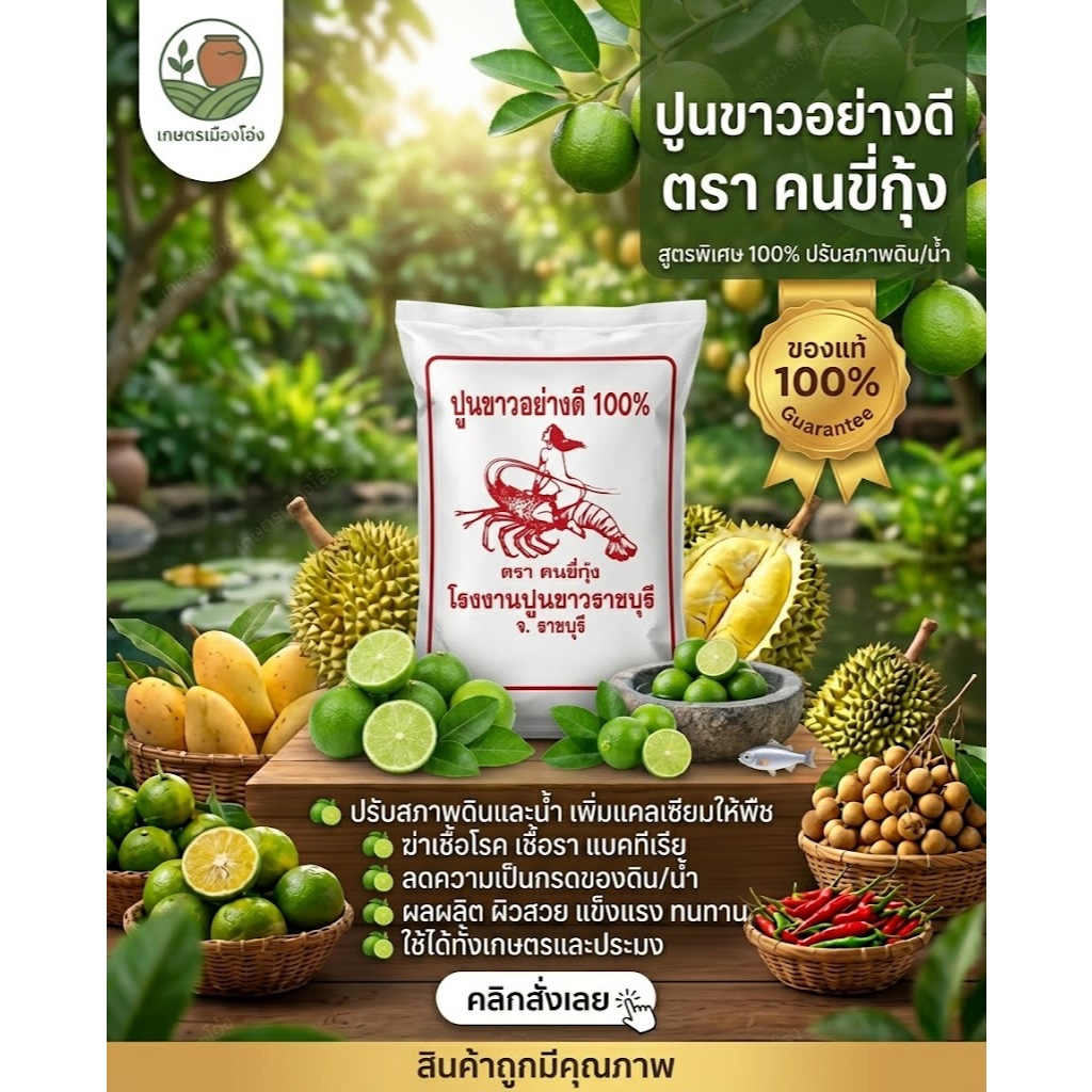 ใช้ดี! ปูน ปูนขาว 8กก. แท้ 100% ปูนเปลือกหอย ออแกนิค ปรับสภาพดิน ป้องกันเชื้อรา ป้องกันหอยทาก ปรับค่า PH ในน้ำและดิน 8กก