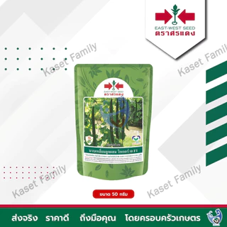 เมล็ดพันธุ์บวบเหลี่ยม บวบเหลี่ยม วิกเกอร์ เอ ขนาด 320เมล็ด / 1600 เมล็ด ตราศรแดง