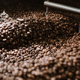 เมล็ดกาแฟห้วยชมภู ขนาด 500กรัม และ 1 กิโลกรัม พร้อมบริการบดฟรี | Simply Coffee Roasters