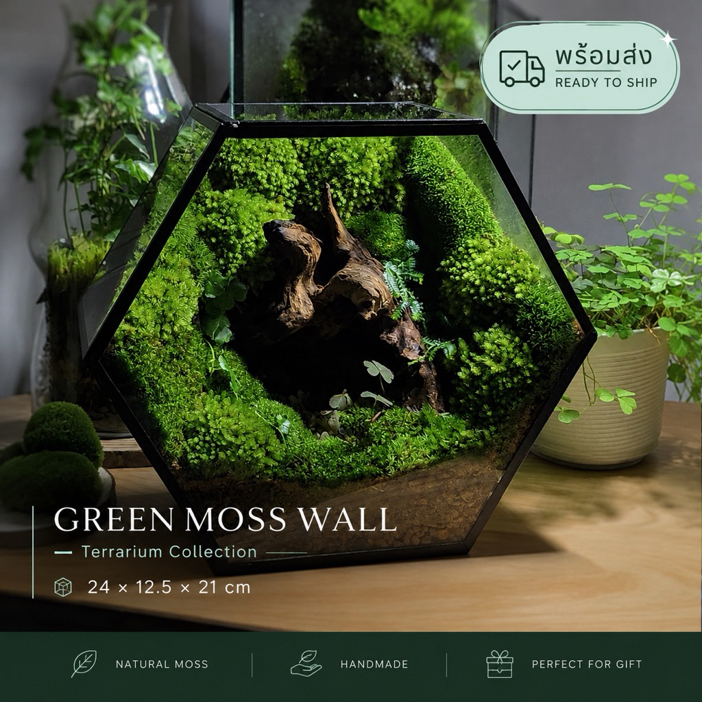พร้อมส่ง สวนขวดต้นไม้ Green Moss Wall  แถมชุดโคมไฟ Terrarium ของขวัญ ของแต่งบ้าน