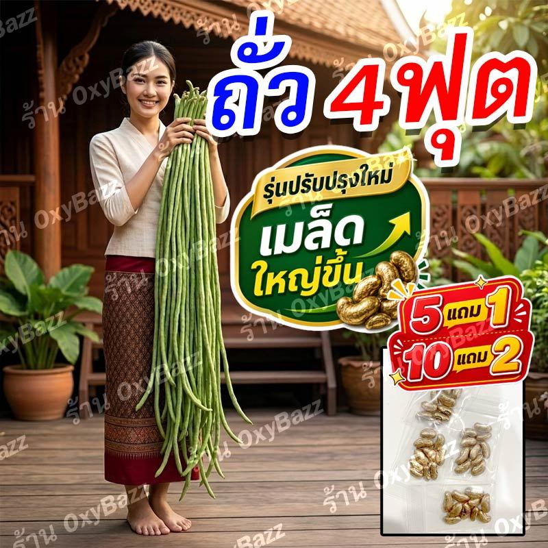 เมล็ดถั่วฝักยาว 4 ฟุต 10 เมล็ด ฝักยาวพิเศษ ลูกดก ปลูกง่าย โตไว ให้ผลผลิตสูง (5แถม1) (10แถม2)
