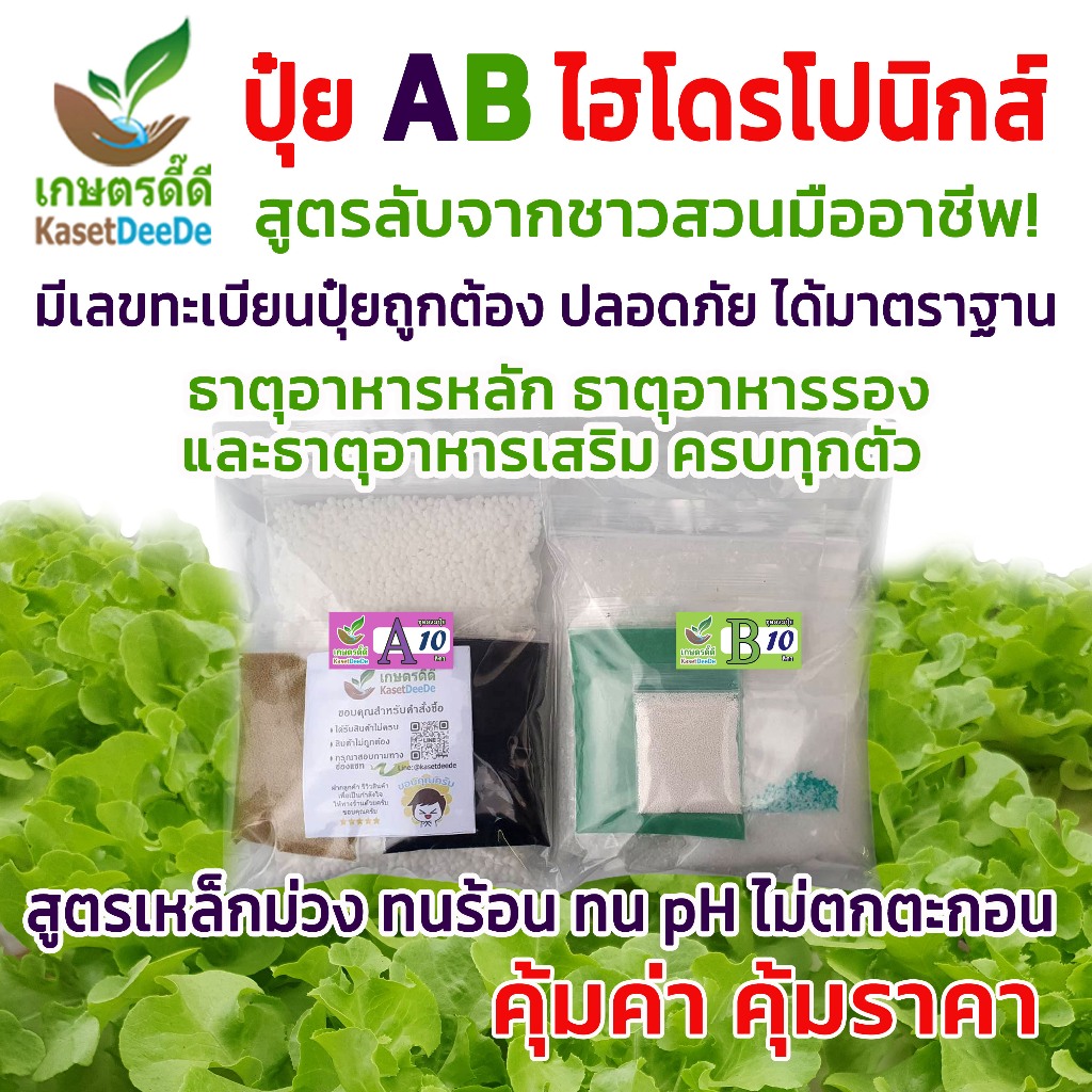 ปุ๋ย AB 5/10 ลิตร แบบแห้ง ปุ๋ยไฮโดรโปนิกส์ เข้มข้น ทนร้อน ใช้ได้ทั้งน้ำนิ่งน้ำวน ปุ๋ยคุณภาพ ราคาประหยัด
