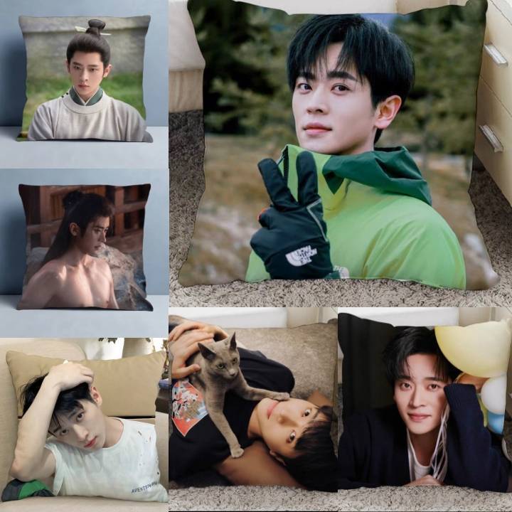 🎈Pre Order🎈 หมอน เฉิงเหล่ย ชายาเคียงหทัย เหนือสมรภูมิ ✈️รอของ25-30วันค่ะ