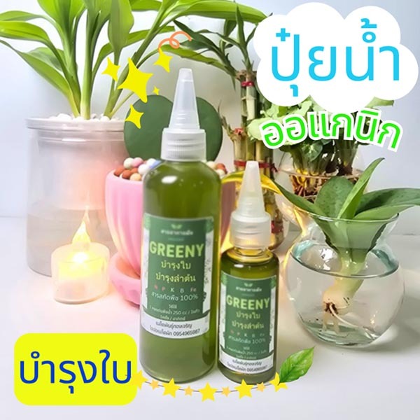 ปุ๋ยน้ำ🎯ถูกที่สุด 30 บ.🎯 บำรุงใบ🌿แข็งแรง☘️เจริญเติบโตดี☘️เหมาะกับพืชเลี้ยงน้ำ🌿พลูด่าง  ฟิโลเดนดรอน🌿มอนสเตอร่า
