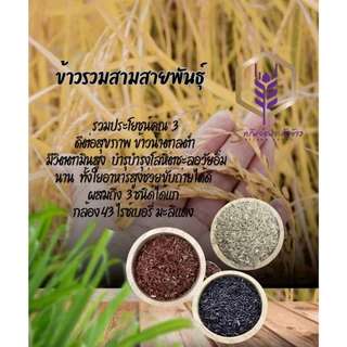 ข้าวรวมสามสายพันธุ์ ตราทรัพย์ธนา แพคสุญญากาศ6กิโลกรัม