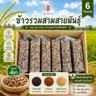 ข้าวรวมสามสายพันธุ์ ตราทรัพย์ธนา แพคสุญญากาศ6กิโลกรัม