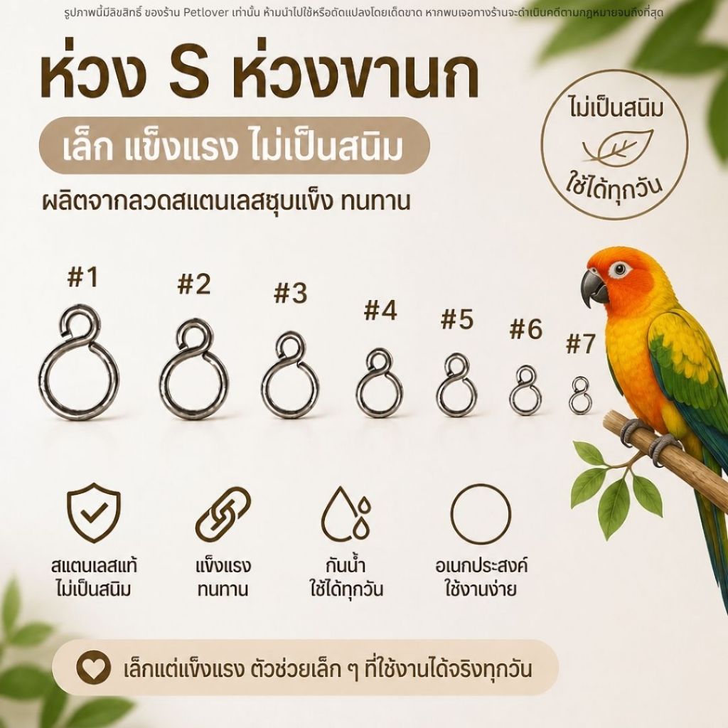 ห่วงขานก ตัวเอส S สำหรับคล้องสายจูง สายฝึกบิน ผลิตจาก ลวดสแตนเลสชุบแข็ง ไม่เป็นสนิม แข็งแรง ทนทาน