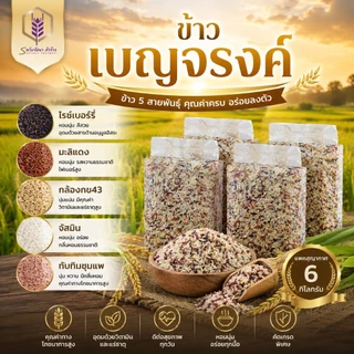 โปรข้าวเบญจรงค์สุดคุ้ม ตราทรัพย์ธนา แพคสุญญากาศ6กิโลกรัม