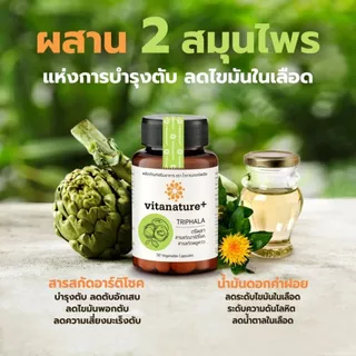 Vitanature plus ตรีผลา และ อาร์ติโช๊ค บำรุงตับ ล้างพิษตับ