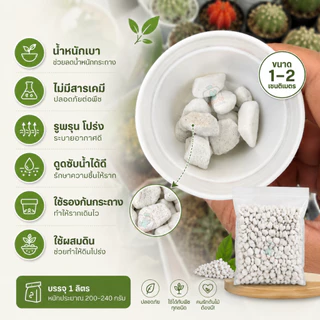 เพอร์ไลท์ ขนาด(ใหญ่) 1- 2 เซน รองก้นกระถาง แคคตัส ไม้อวบน้ำ ผสมดินปลูก ไม้ฟอกอากาศ รากเดินดี โปรง ระบายน้ำได้ดี
