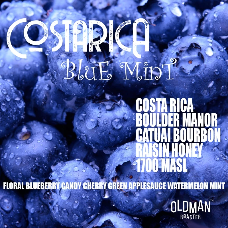 เมล็ดกาแฟ COSTARICA BLUE MINT (คั่วอ่อน) by OLDMAN ROASTER