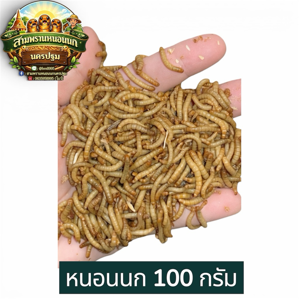 ห นอน นกยักษ์สด อาหารโปรตีนสูงสำหรับสัตว์เลี้ยง บรรจุ 100 กรัม จำนวน 1 แพ็ค