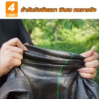 【กำจัดวัชพืช 100%】ผ้าคลุมดิน ผ้าคลุมหญ้า ป้องกันวัชพืช ผ้าคลุมดินหญ้า พลาสติกคลุมวัชพืช โปร่งสบาย ผ้าคลุมหญ้าที่ทนทาน