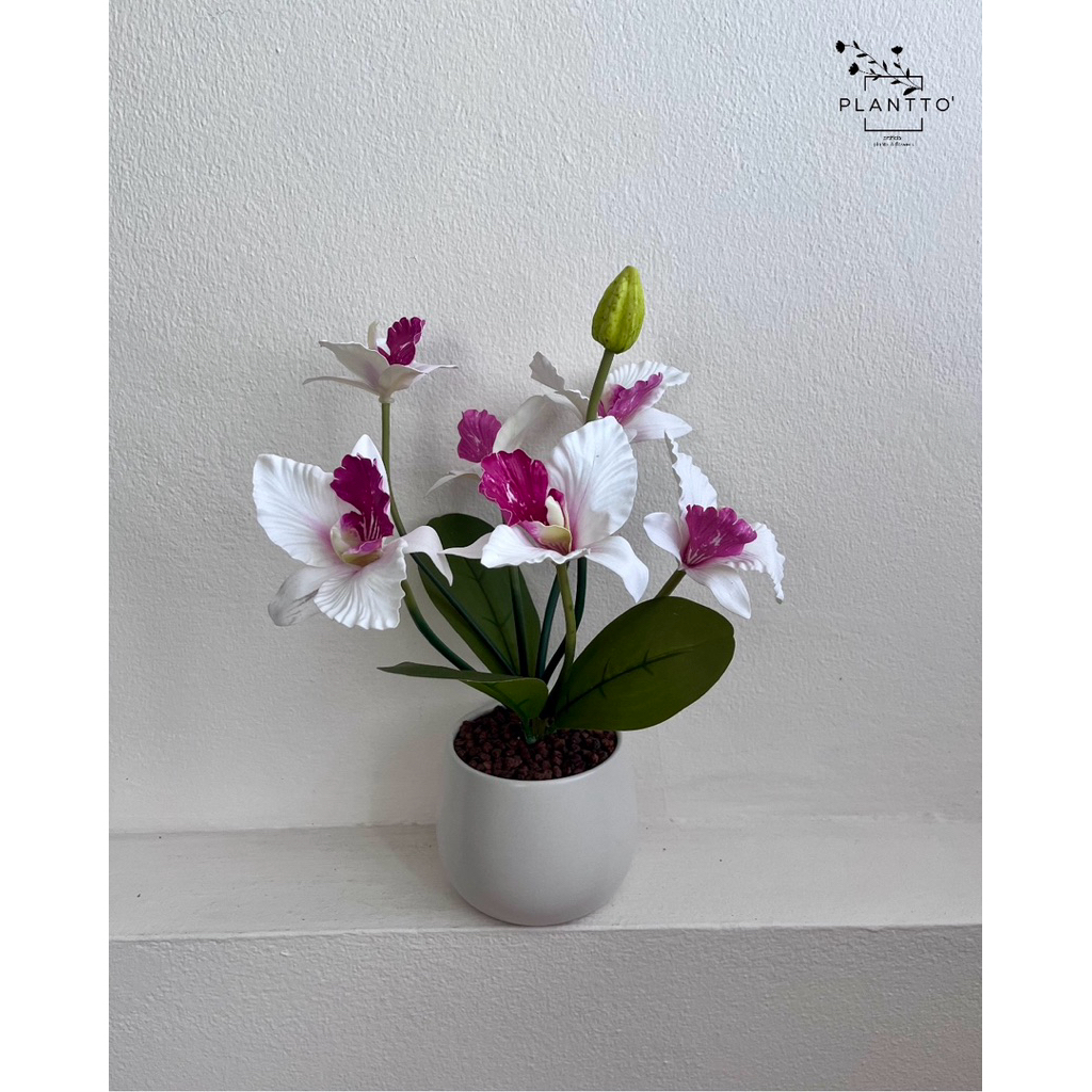 กล้วยไม้ประดิษฐ์ กล้วยไม้ขาวชมพู Amore Orchid พร้อมกระถางเซรามิค 12 cm