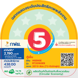 Hisense ตู้เย็น 2 ประตู Inverter Pro 7.3 คิว / 207 ลิตร Inverter รุ่น RT201N3EB สี BLACK