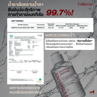 Fellower น้ำยาเช็ดคราบน้ำตาสุนัขและแมว Castaline แพ็คคู่ 2 ขวด pH Balance ไม่แสบตา ปลอดภัยเลียได้ Tear Stain Remover