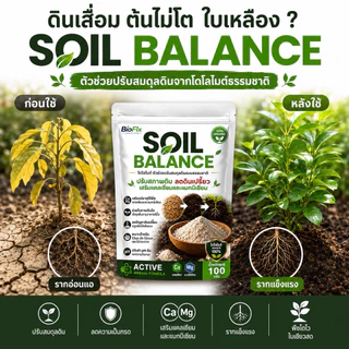 BioFix Soil Balance สารปรับปรุงดิน เติมแร่ธาตุ ปรับ pH ดิน แก้ดินเป็นกรด ปลูกอะไรก็งาม 100 g. โดโลไมท์