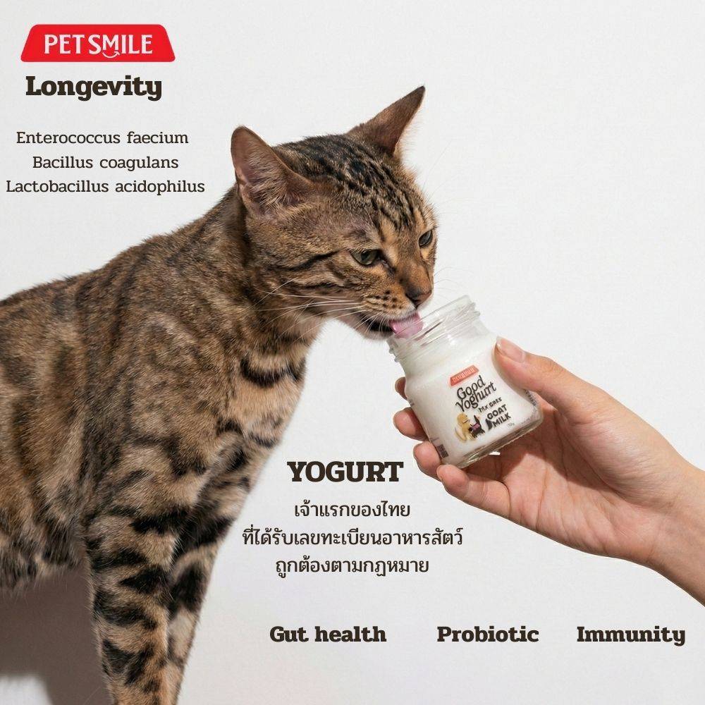 โยเกิร์ตนมแพะสำหรับสัตว์เลี้ยง PETSMILE goat milk yogurt 50ml