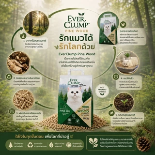 (เจ้าแรกในไทยเม็ดทรายเหมือนเต้าหู้)Pine oil wood ทรายไม้สนสูตรลดการสะสมของเชื้อโรค