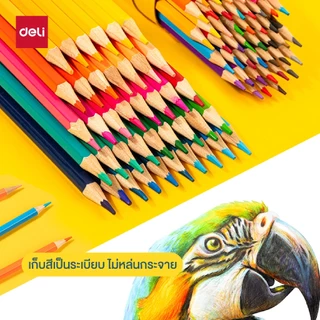 ดินสอสีไม้ 12/24/36/48 สี Deli ดินสอสีน้ำมัน สีไม้ รุ่นกระบอก กระปุก ไส้ใหญ่ สีเข้ม อุปกรณ์ศิลปะ