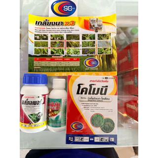 เกลี้ยงนาX3และT30(เล็ก5ไร่/ใหญ่10ไร่) กำจัดหญ้าในนาข้าว ของแท้100% จากบริษัทเอสซีครอปแคร์