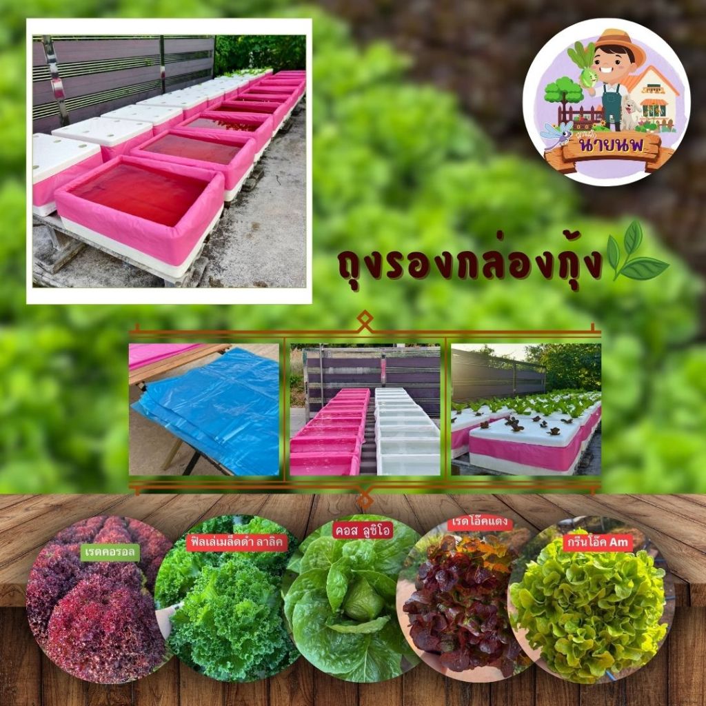 พร้อมส่ง ถุงรองกล่องกุ้ง แบบหนาพิเศษ