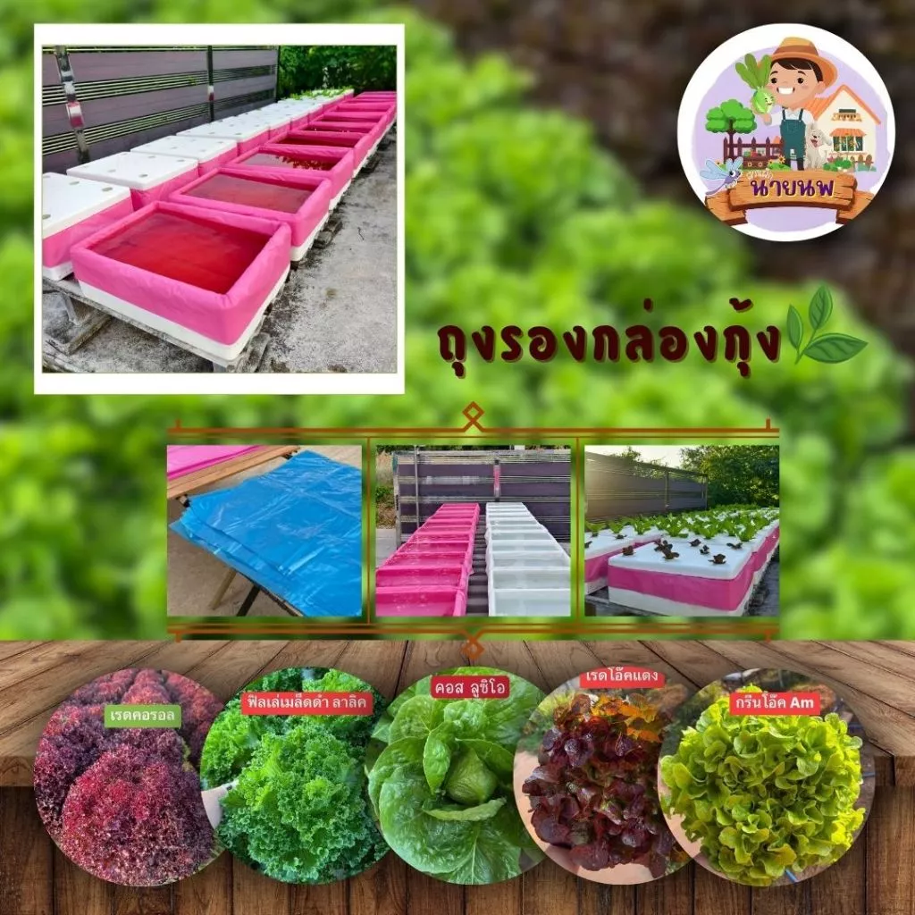 พร้อมส่ง ถุงรองกล่องกุ้ง แบบหนาพิเศษ