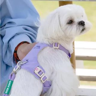 ARKIKA สายรัดอกพร้อมสายจูง สุนัข แมว สวมใส่สบาย ดีไซน์แบบเสื้อVest Harness สายจูงสุนัข สายรัดอกสุนัข