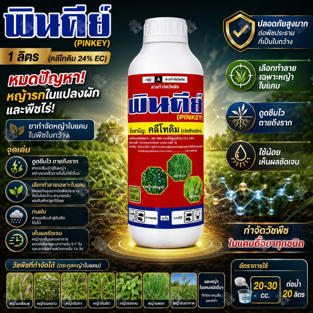 คลีโทดิม 24% (1 ลิตร ลัง 12 ขวด) พินคีย์ 24 กำจัดหญ้าใบแคบ ในพริก หอม มันสำปะหลัง ฉีดพ่นทับได้เลย