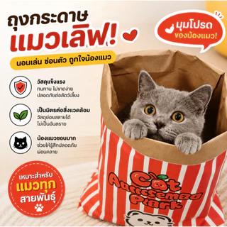 🐱ถุงกระดาษคราฟท์สำหรับแมว อุโมงค์ลับเล็บ พับเก็บได้ กระดาษหนา ทนทาน ที่ซ่อนตัว คลายเครียด