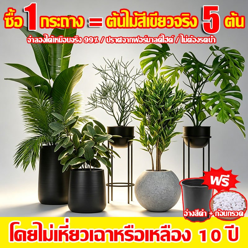 ความจำลอง 99%🌲ต้นไม้ปลอม ต้นไม้ปลอมใหญ่ สูง82-100ซม(ฟรีหินโรย กระถางดอกไม้) เขียวชอุ่มตลอดปีไม่ต้องบำรุงรักษาต้นไม้มงคล