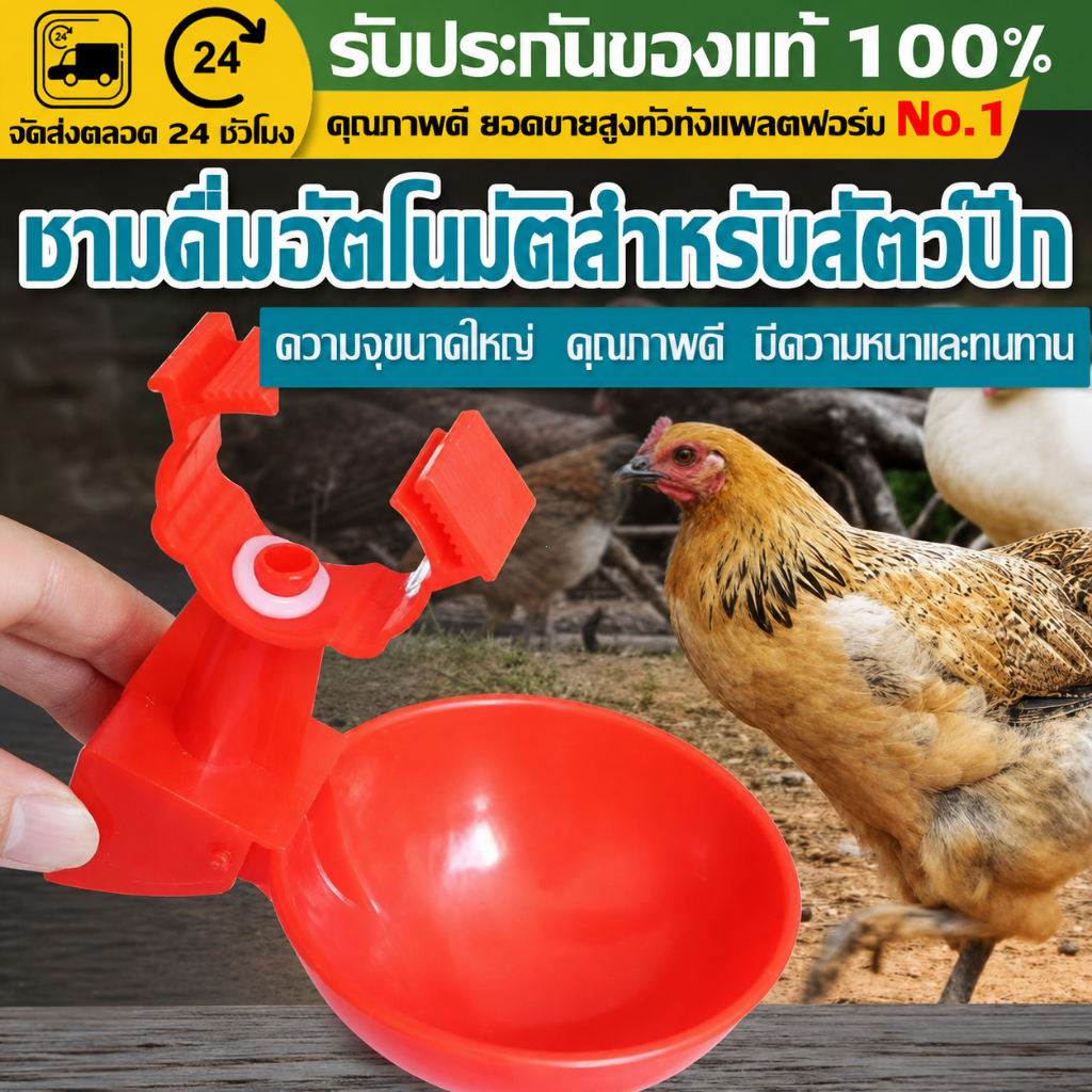 （COD）ถ้วยให้น้ำไก่อัตโนมัติ แบบหนีบ วัสดุPP ถ้วยน้ำสัตว์ปีก สำหรับไก่ เป็ด ห่าน นกกระทา เติมน้ำเอง ติดตั้งง่าย ลดน้ำหกดี