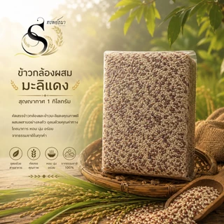 ข้าวกล้องผสมมะลิแดง หอม นุ่ม แพค1กิโลกรัม ตรา ทรัพย์ธนา
