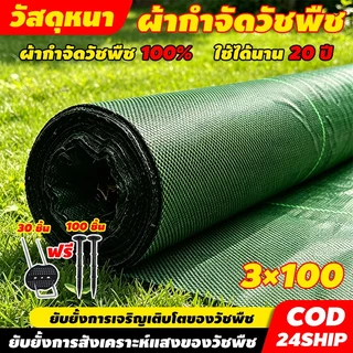 (หนาขึ้น) พลาสติกคลุมดิน ผ้าคลุมหญ้า พลาสติกคลุมวัชพืช กำจัดวัชพืช พลาสติกเกรดส่ง 3×100