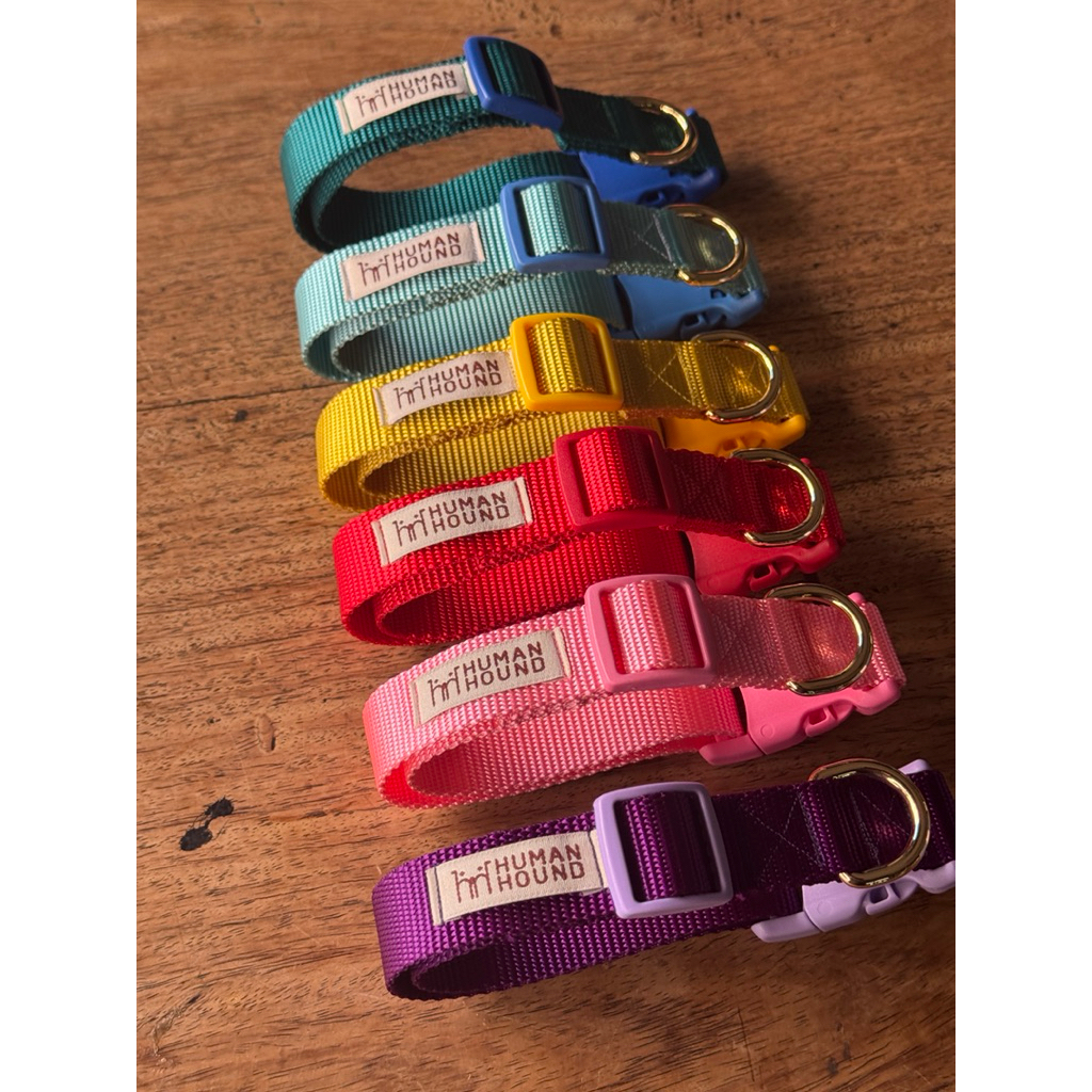Human & Hound Essential Collection (solid colors) Snap collar ปลอกคอสุนัข