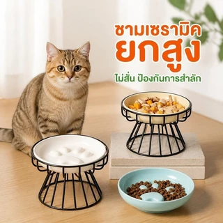 ชามแมวเซรามิก ป้องกันคอ สไตล์นอร์ดิก ป้องกันการพลิกคว่ํา สําหรับสัตว์เลี้ยง แมว ขนมขบเคี้ยว