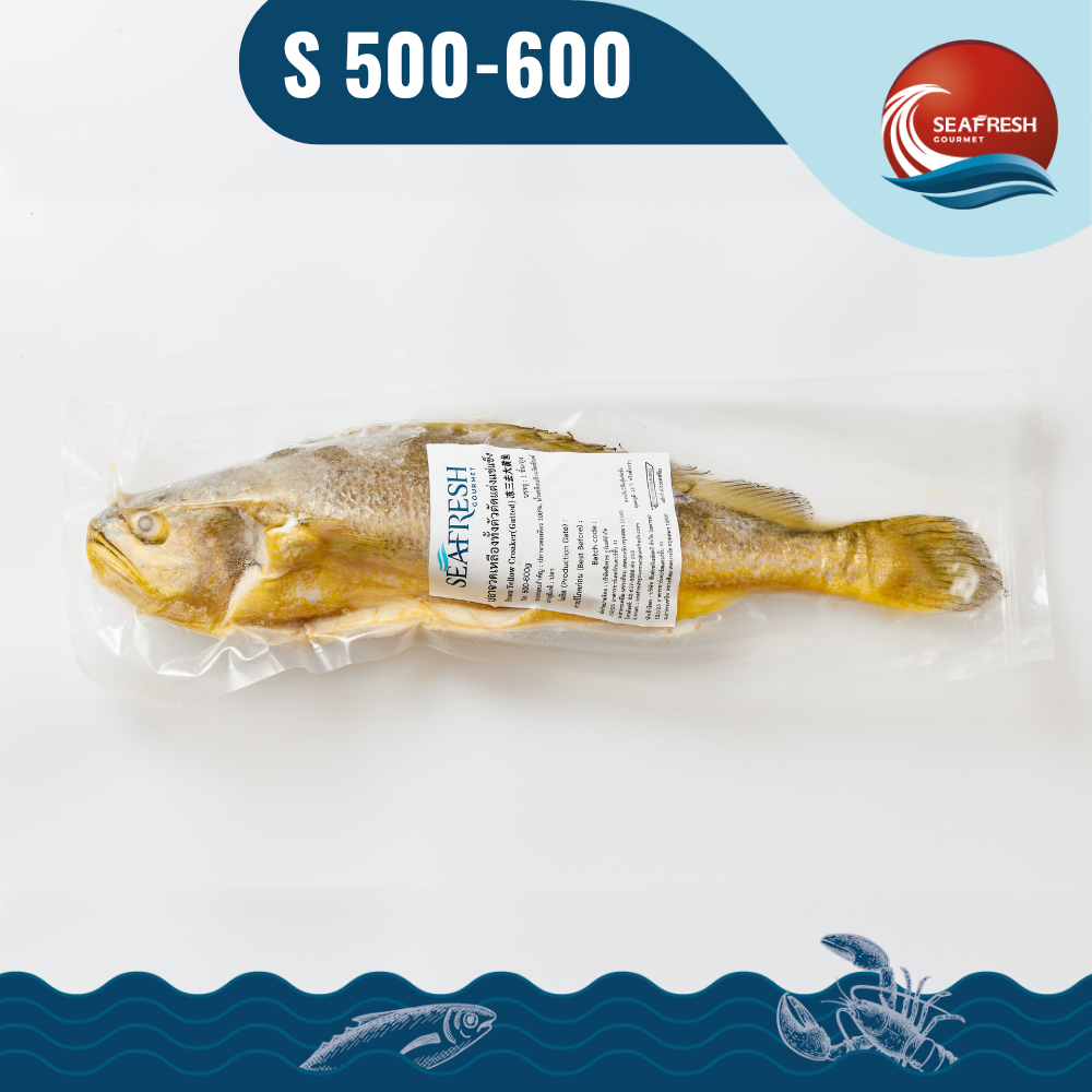 ปลาจวดเหลืองทั้งตัวตัดแต่งแช่แข็ง Frozen Whole Round Yellow Croaker (Gutted) 500-600 G