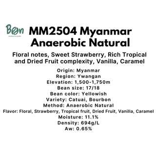 สารกาแฟ/เมล็ดกาแฟดิบ/Green bean(MM2504) ประเทศพม่า/เมียนมา Myanmar Anaerobic Natural - 1Kg. Bean Importer