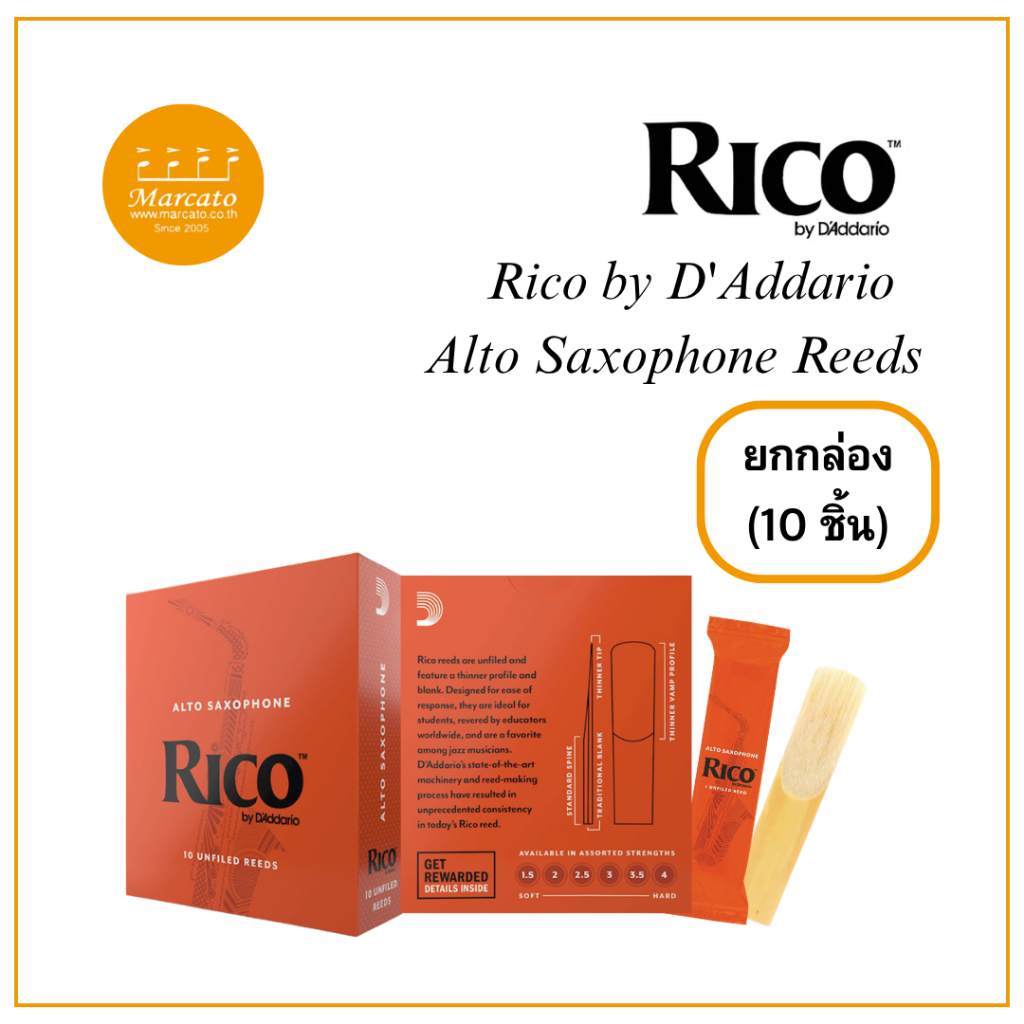 Rico by D'Addario - Alto Saxophone Unfiled Reeds 10 Pieces/Box (ยกกล่อง 10 ชิ้น)