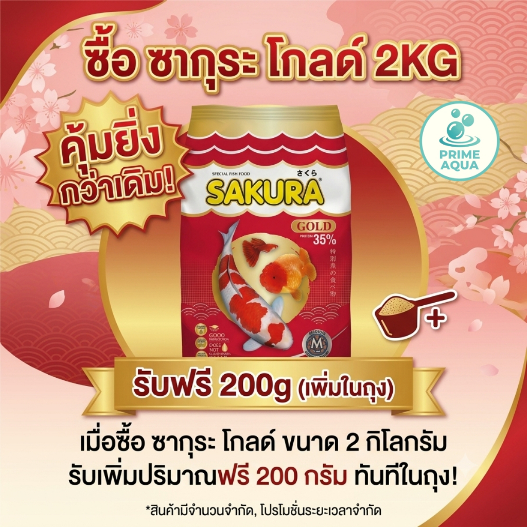 "2KG Free 200g" อาหารปลาซากุระ โกลด์ เมื่อซื้อขนาด 2 กิโล ฟรี 200g ทันทีในถุง