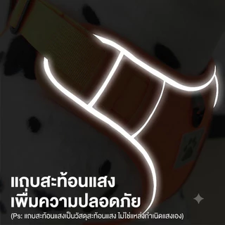 สายรัดอกสุนัขกลาง-ใหญ่ พร้อมแทบสะท้อนแสงกลางคืน