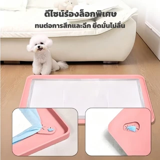 ห้องน้ำสุนัข แผ่นรองฉี่หมา ไม่รั่วซึม ทำความสะอาดง่าย พับเก็บสะดวก เหมาะกับสุนัข แมว และสัตว์เล็กทุกชนิด ใช้ซ้ำได้