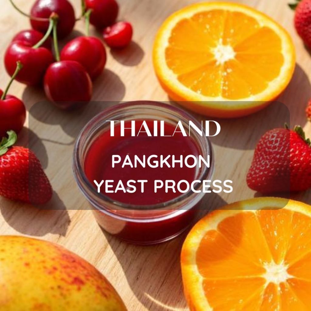 2026 สารเมล็ดกาแฟปางขอน จ.เชียงราย Anaerobic Process/ Yeast Process