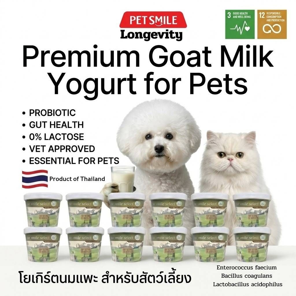 PETSMILE โยเกิร์ตนมแพะสด สูตร Longevity 12ชิ้น
