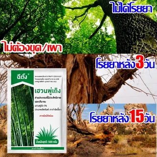 💥100% รากไม้เน่า ยาฆ่าต้นไม้ใหญ สารกำจัดกอไผ่ ยาฆ่าตอไม้ ตรงไปที่ราก สร้างมาเพื่อฤดูฝน กำจัดวัชพืชรากเน่า