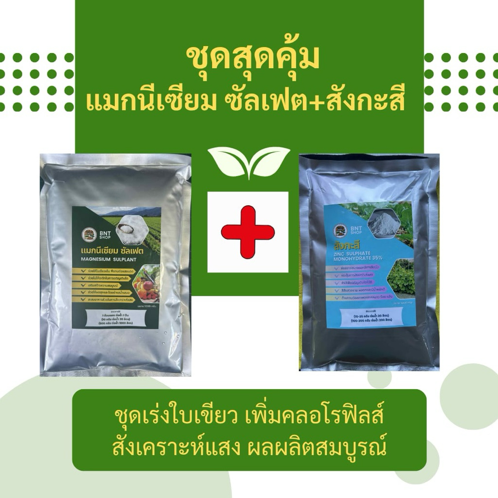 ชุดสุดคุ้ม แมกนีเซียม ซัลเฟต +สังกะสี Zinc Sulphate ช่วยเร่งใบเขียว เพิ่มคลอโรฟิลส์ ช่วยสังเคราะห์แสง ช่วยพืชยืดตัว