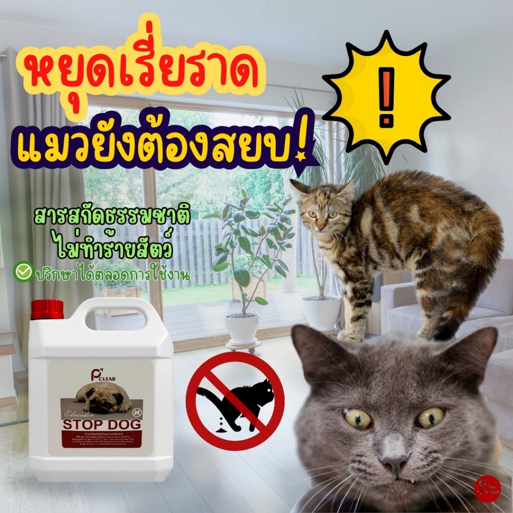 น้ำยาฝึกสุนัขและแมว ขับถ่ายและฉี่ให้เป็นที่ สูตรออร์แกนิกสมุนไพรเข้มข้น หยุดห้ามฉี่ P CLEAR STOP DOG & CAT