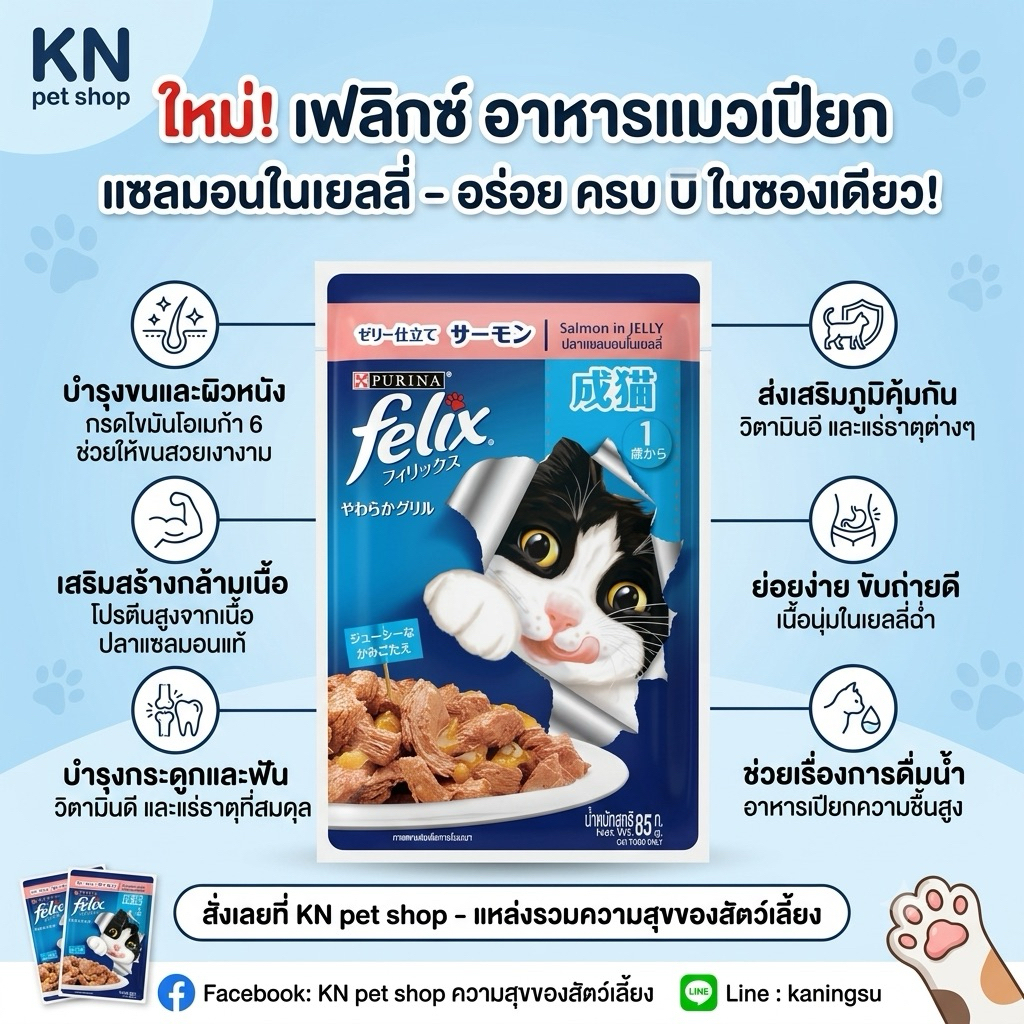 อาหารเปียกแมว Felix (เฟลิกซ์) เป็นอาหารที่มีสารอาหารครบถ้วนและสมดุล 100% ตามความต้องการในแต่ละวันของ