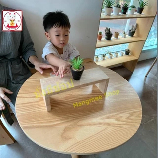 ชั้นวางของไม้แท้ สูง 10-20 ซม ยาว 20-80 ซม กว้าง 10 ซม (ตามตัวเลือก) มินิมอล โมเดล ต้นตะบองเพชร พระ